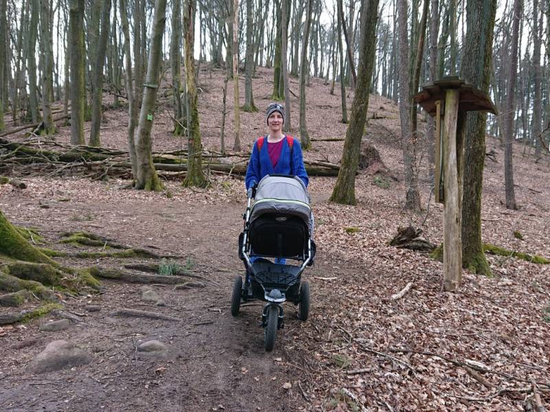 Familienfreundliche Wanderungen: Mit Kinderwagen im Pfälzerwald unterwegs